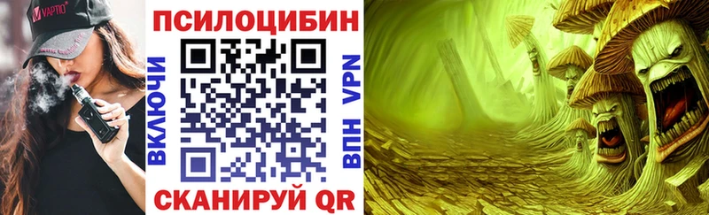 Галлюциногенные грибы мицелий  купить закладку  Ярославль 