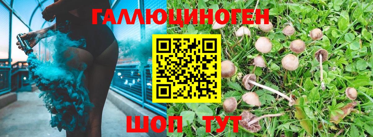 Псилоцибиновые грибы Psilocybe  купить наркоту  Ярославль  Вход с VPN 