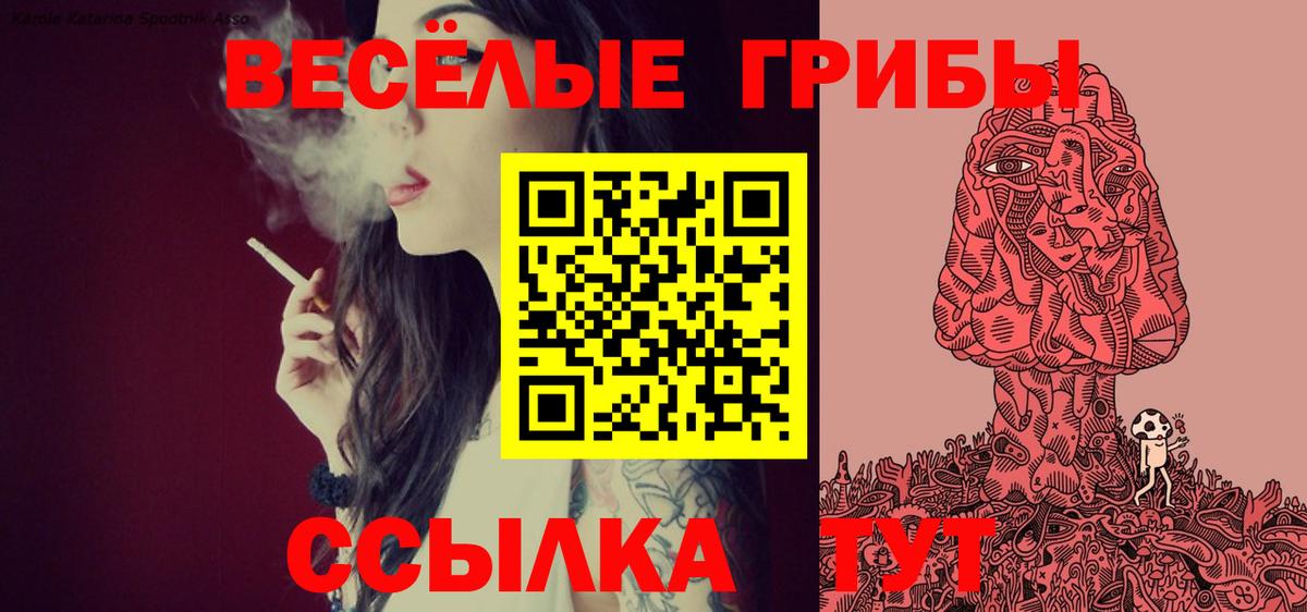 Псилоцибиновые грибы ЛСД Ярославль